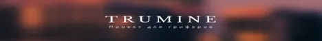 TruMine